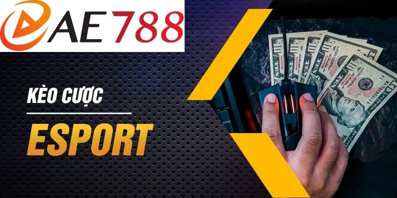 Sân chơi cung cấp tất cả các thể loại kèo cược Esport